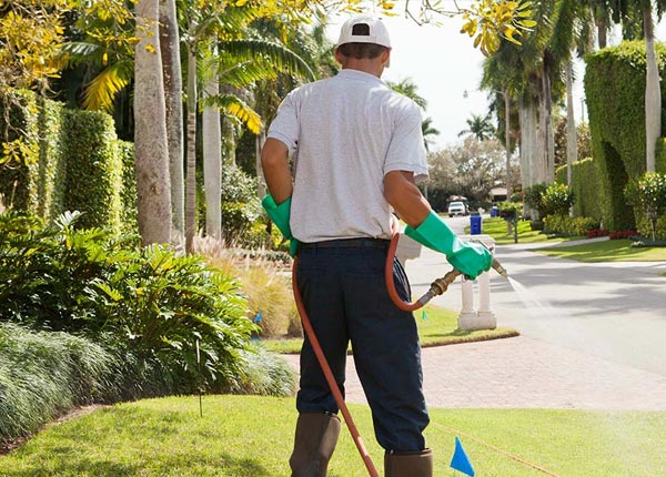 About Cochranton PA Pest Control